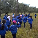 Masseria Sciaiani Piccola Bauernhof