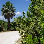Bauernhof Masseria Sciaiani Piccola *