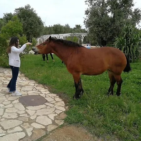 Masseria Sciaiani Piccola Farm stay