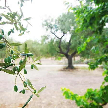 Masseria Sciaiani Piccola Villa Castelli