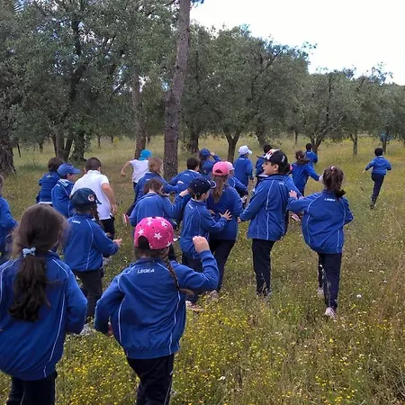 Masseria Sciaiani Piccola Κατάλυμα σε φάρμα