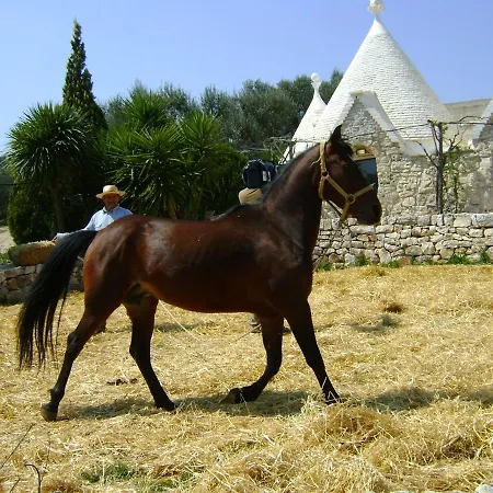Farm stay Masseria Sciaiani Piccola *