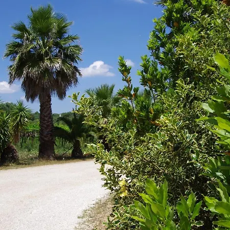 Alloggio per agriturismo Masseria Sciaiani Piccola *