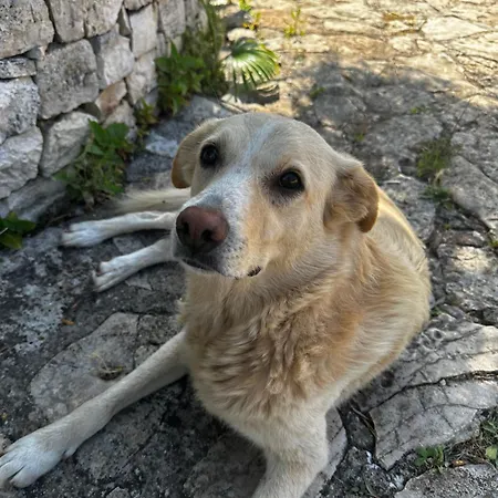 Masseria Sciaiani Piccola