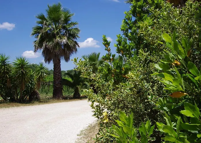 팜스테이 Masseria Sciaiani Piccola *